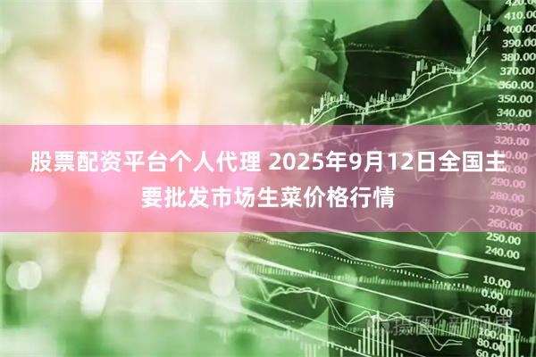 股票配资平台个人代理 2025年9月12日全国主要批发市场生菜价格行情